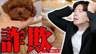【嘘だろ…】某有名大学と某大手企業が共同開発したと広告で謳うAIペットロボットを実際に買ったらどうなるか試してみたらマジでヤバすぎる商品が届いたwww【怪しい広告,注意喚起,レビュー】