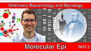 Molecular Epidemiology (Part 2) - Veterinary Bacteriology and Mycology