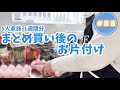 【まとめ買い#88】ダイソーの紙製ストッカーや鮮度保持ストックバッグを使って野菜を保存/５人家族1週間分の買い出し後の作業（作業音あり