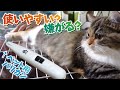 【ペット用バリカン】使い心地は？猫の反応は？足裏の毛を刈られる子猫【ミヌエット│cat】#62