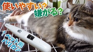 【ペット用バリカン】使い心地は？猫の反応は？足裏の毛を刈られる子猫【ミヌエット│cat】#62