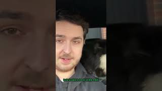 dogs can’t ski :(