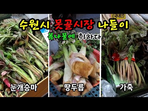 전통시장ㅣ광교저수지 산책ㅣ수원 못골시장에서 눈개승마, 땅두릅, 가죽나물 사서 데쳐 먹다 [69]