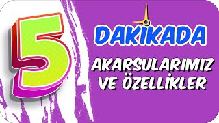 Download 5dk'da Akarsularimiz Ve Özellİklerİ Video MP3 5dk'da Akarsularimiz Ve Özellİklerİ