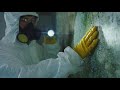 Man Inspecting Moldy Walls