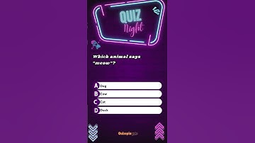 Brain Teasers Galore: Test Your Knowledge!