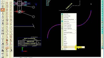 Draw Splines and offsets from Splines in Caddie AEC Architecture .dwg software