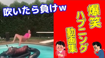 爆笑動画 Youtube