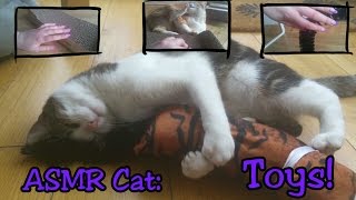 ASMR Cat: Birthday Toys [no talking] [cat play, fighting, kicking, long nails, scratching, purring] by ASMR Cat Sounds 734 views 7 years ago 13 minutes, 29 seconds