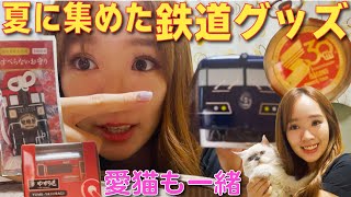 井原鉄道「夢やすらぎ」号や、WEST  EXPRESS  銀河のチョロQ！記念グッズやノベルティも！