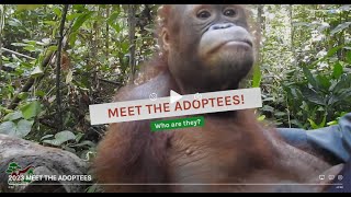 Meet the Adoptees!