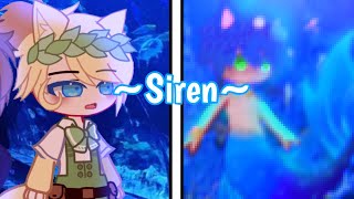 ~Siren~ /Mermaid Meme/STH AU/Merhog Sonic AU\