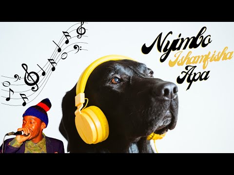 Muzo AKA Alphonso - Nyimbo Ishamfisha Apa || Scrolling Lyrics