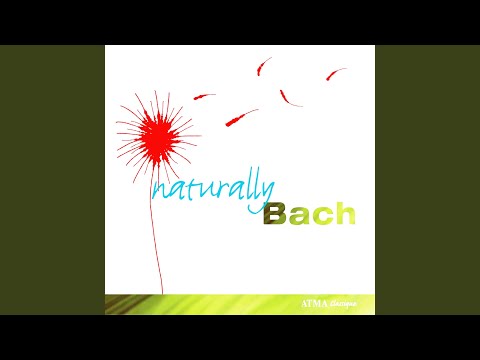 Regardez J.S. Bach: Prélude, Fugue et Allegro en mi bémol majeur, BWV 998: II. Fugue sur YouTube