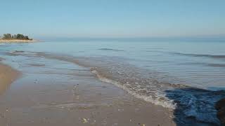 Placid Sea Waves: Soft Sea Sounds under Autumn Sun for Instant Sleep or Study screenshot 3
