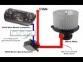 HVAC Blower Motor & Circuit