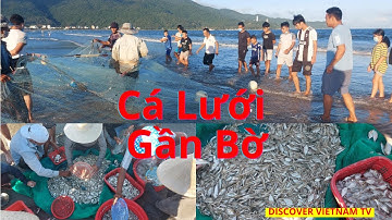 Kéo Lưới Bắt Cá Biển Gần Bờ Của Ngư Dân | Bán Hết Sạch Tại Chỗ | Tươi Ngon Đà Nẵng
