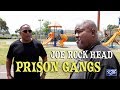 Joe rock head oaks park on prison gangs cco bgf eme ab vanguard part 3