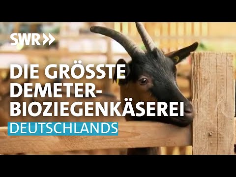 Video: Warum haben Siedler Ziegen?