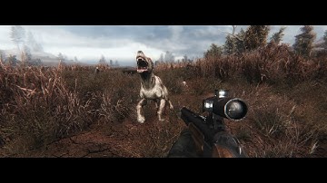 S.T.A.L.K.E.R. GUNSLINGER - Epic Highlights "Life in The Zone" - HD TEXTURES + ENB
