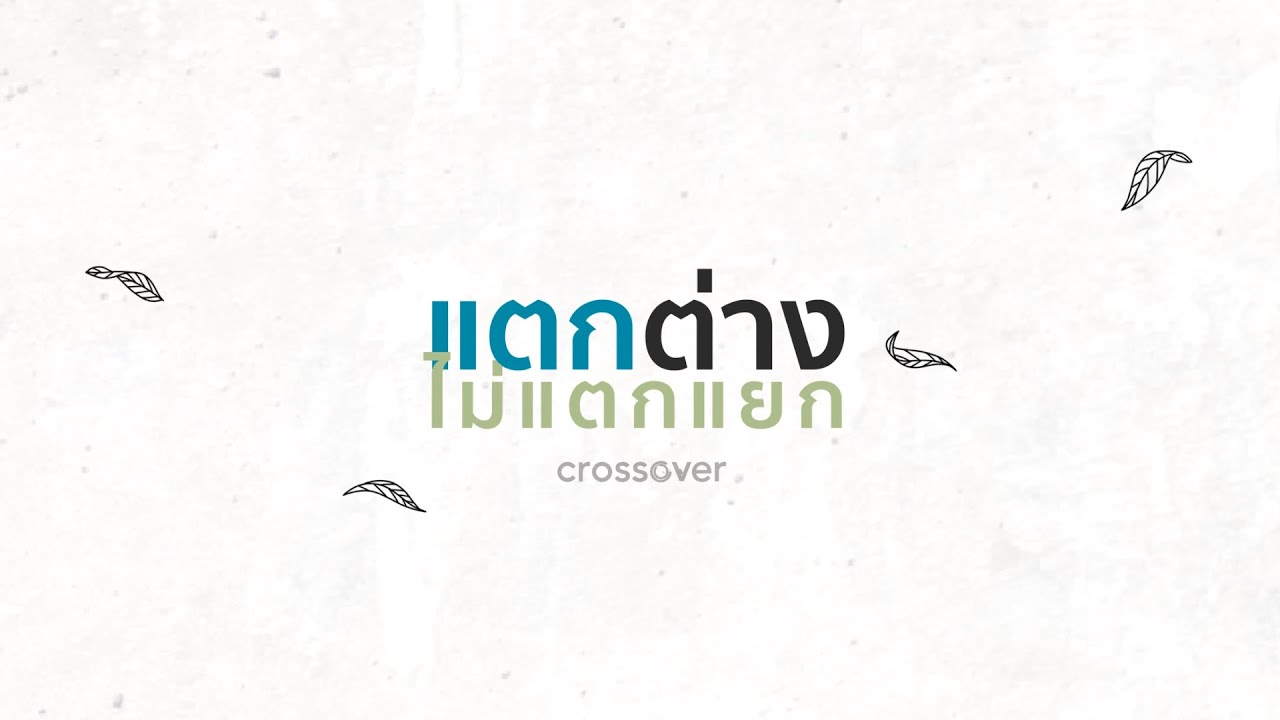 ปกเพลง แตกต่างไม่แตกแยก — PRAEW KANITKUL