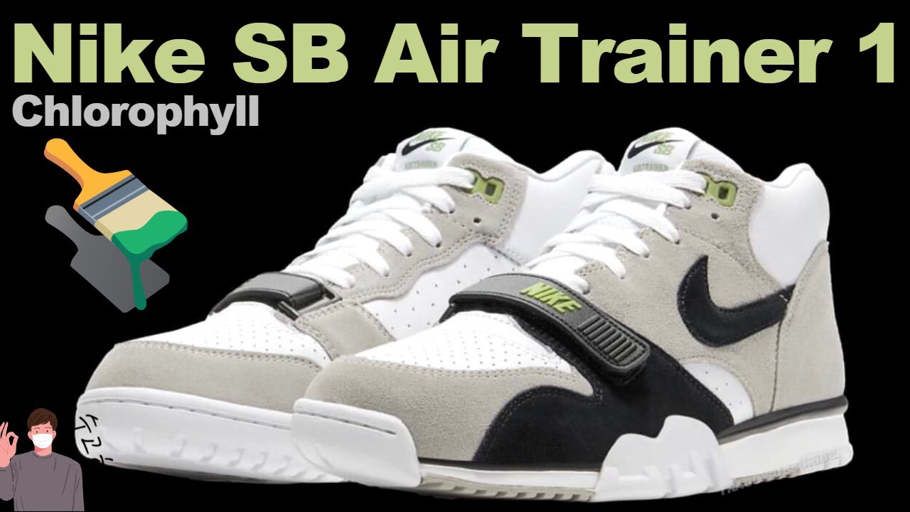 nike air trainer 1 agassi