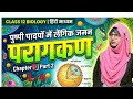Pollen Grain Explained in Hindi | Class 12 Biology L-4 Part 2 | Easy Notes + Diagram