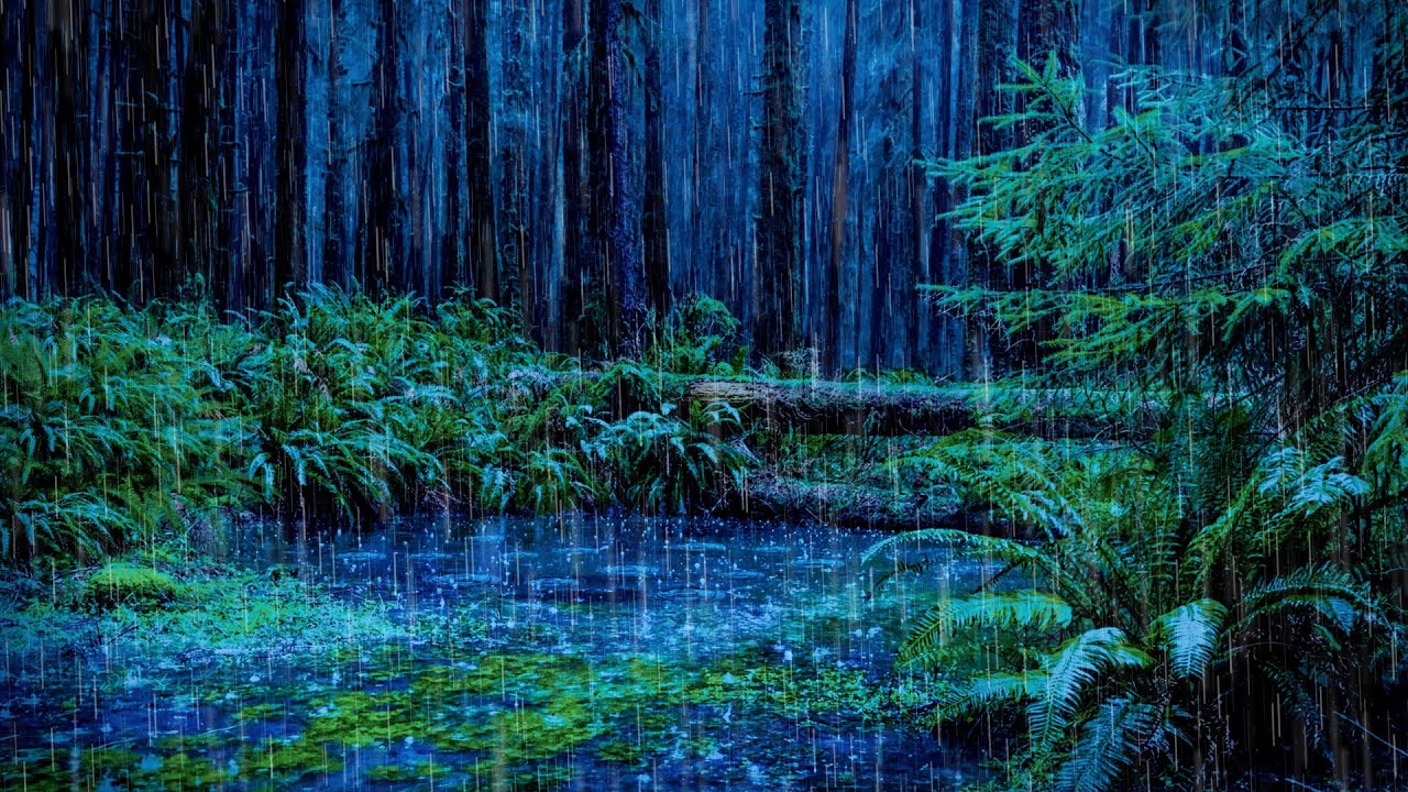 Rain Sleep Noise & Forest Stream | Rain + Water Sounds for Sleeping