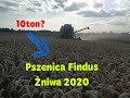 Żniwa 2020 Pszenica Findus kolor jak bursztyn pięknie sypie,aż chce się takie kosić gdyby nie legi..