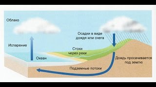 Исчезновение пресной воды и её круговорот в природе Исчезновение пресной воды и её круговорот в природе