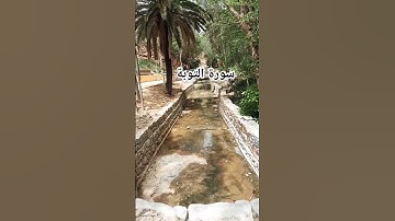 قرآن كريم #اكسبلور #تيك_توك #flowers #mountains #turtle #ترند #تصويري #baby #لايك