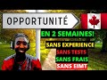 Fais a pour immigrer au canada en 2 semaines sans exprience sans diplmes  circana