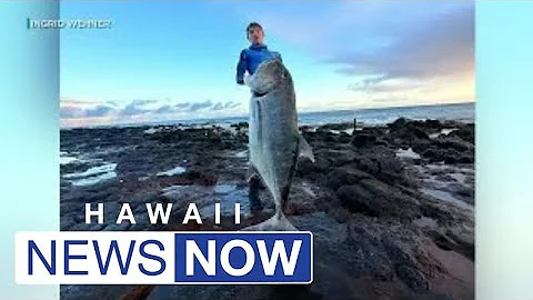 Teen catches 104-pound ulua while freediving off Kauai