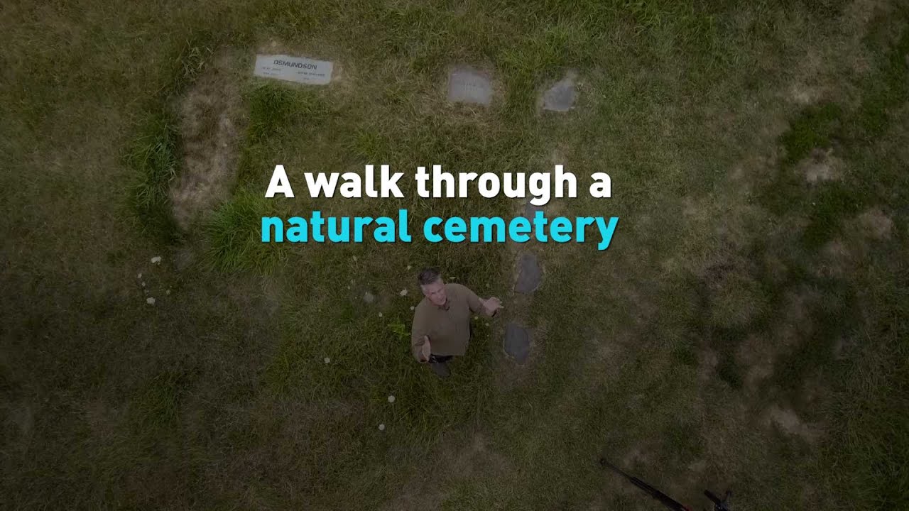 A walk through a natural cemetery