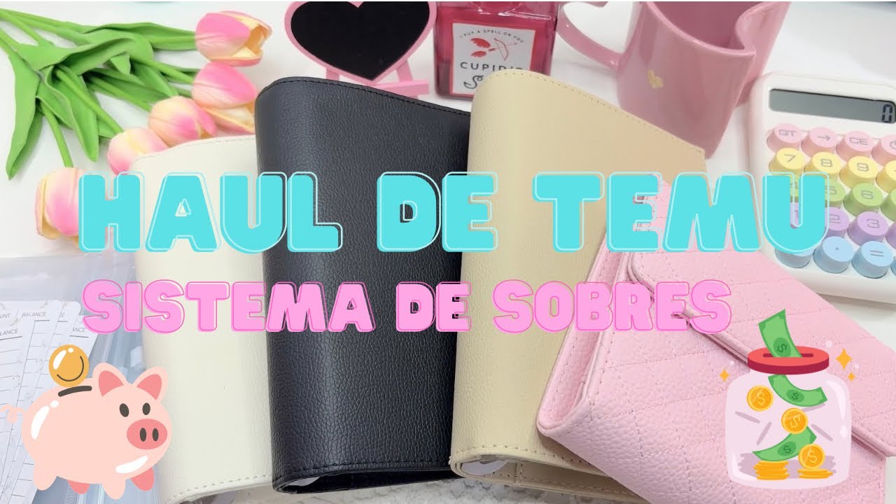 🛍️ HAUL DE TEMU para mi sistema de ahorro en sobres ￼✉️ #haulvideo #temuhaul #budgeting 
