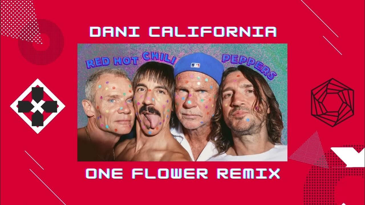 Red Hot Chili Peppers Dani California (One Flower Remix) YouTube