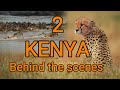 Behind the scenes KENYA 2, Nakuru and Masai Mara safari, car stuck, Brown house snake, herping Kenya