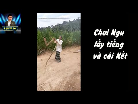 Chơi Ngu lấy tiếng và cái kết | bạn và tôi