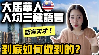 大馬華人為何人均三種語言？跟台灣教育差在哪？原因超震撼！