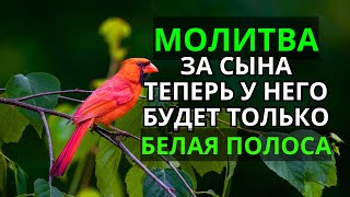картинка: 🤲 Каждая Мать должна послушать эту молитву! Очень сильная молитва за СЫНА от БЕДЫ, ПОРЧИ И Неудачи!