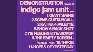 BACK SHOT - indigo jam unit