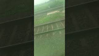 Highlight 000 428 From Easy Drawing And Colouring Video