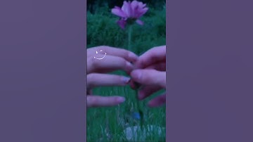 #defan #sridevijuara1 #sridevi #defan #afanda5 #shortvideo #shorts #short