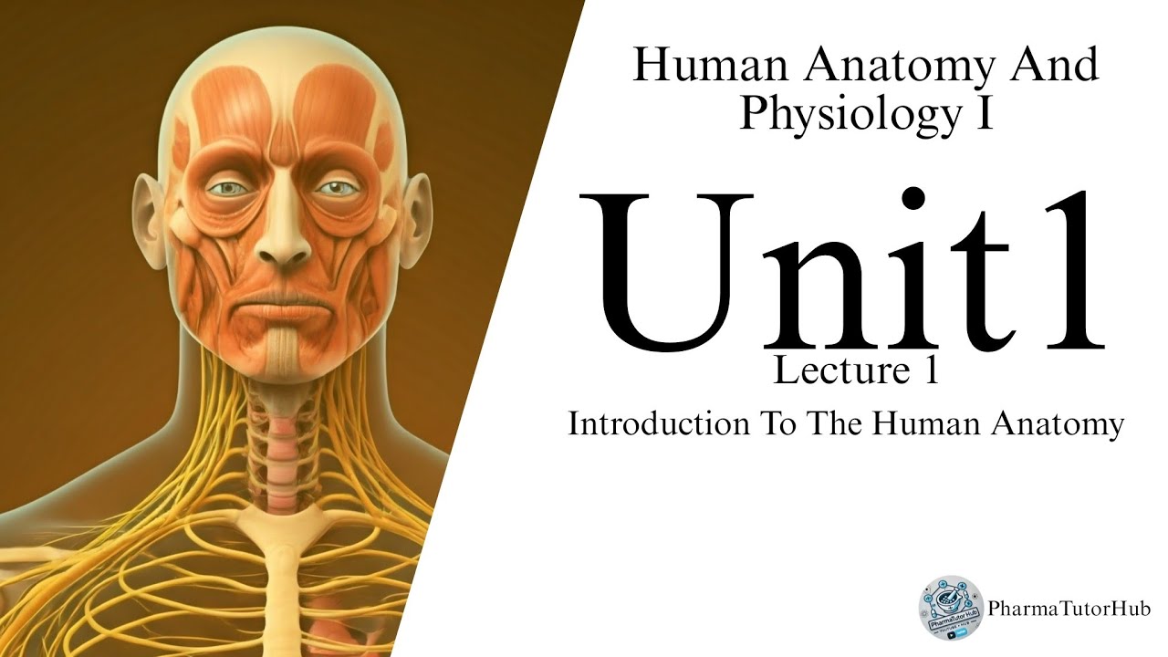 HUMAN ANATOMY AND PHYSIOLOGY I Unit 1 | lecture 1 | B Pharmacy | Sem 1 ...