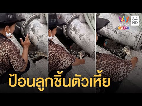 สาวป้อนลูกชิ้นให้ตัวเหี้ย 2 ไม้ ชาวเน็ตแซวระวังมือ น้ำลายสกปรก