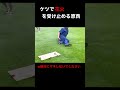 原西のケツの強さを検証しよう！