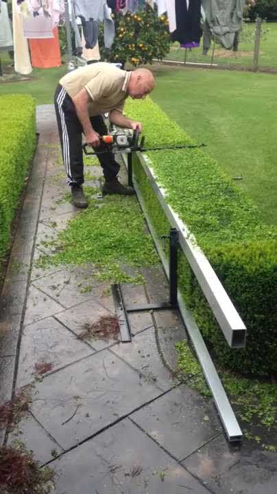 How to prune English Box hedges Maltese style