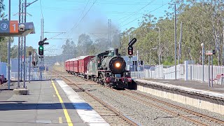 Queensland Railways BB18¼ Class No.1079 Steam Locomotive High Speed Operation 1