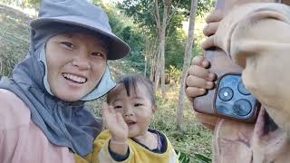 Mus Luaj Teb Ntoo Yas 22.11.2025