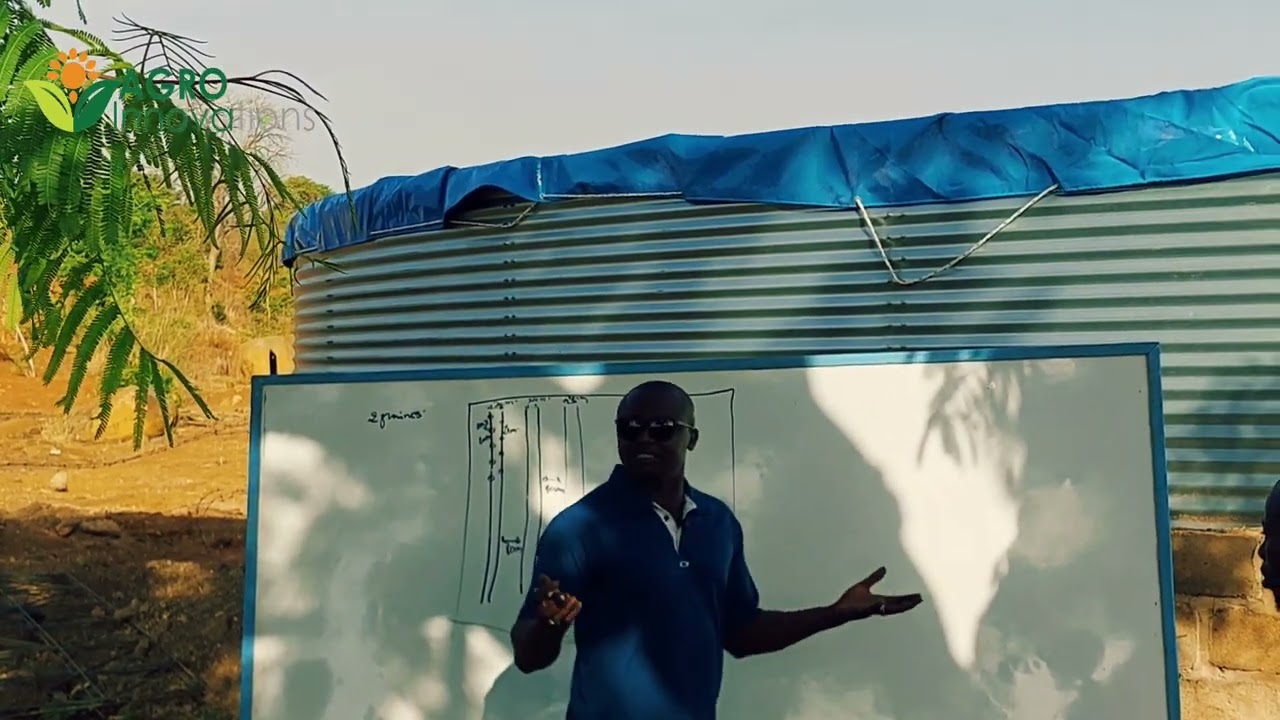 5 000 000 francs CFA avec 1 ha de maïs en culture intensive !